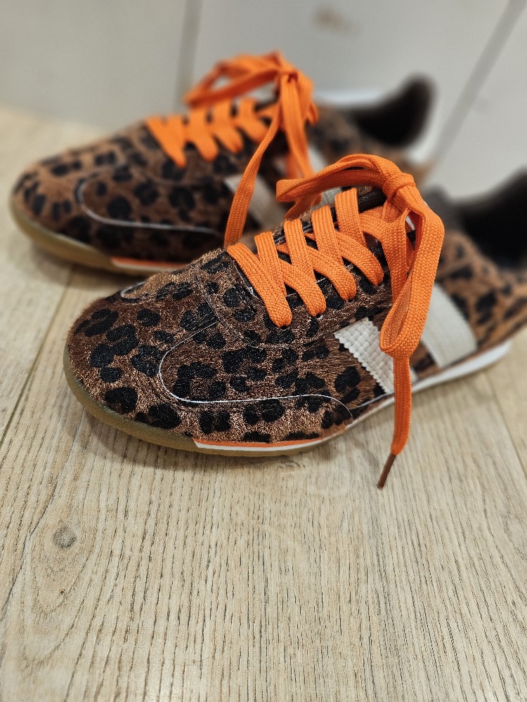 ZAPA LEO ORANGE ZAPA LEO ORANGE