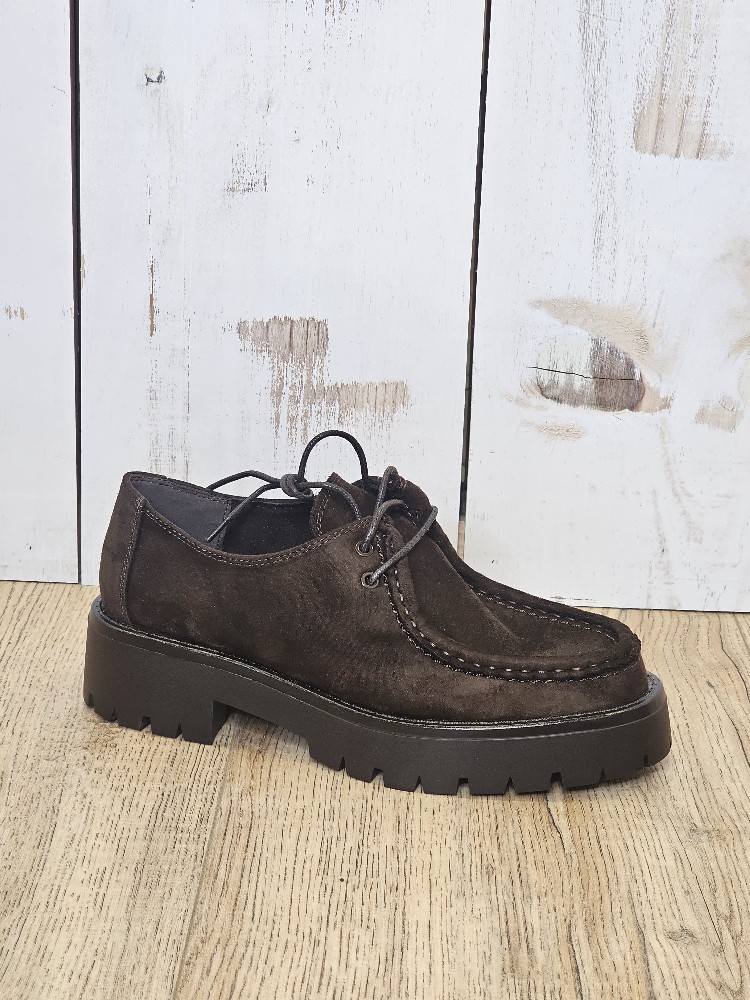 ZAPATO CORDONES ANTELINA ZAPATO CORDONES ANTELINA