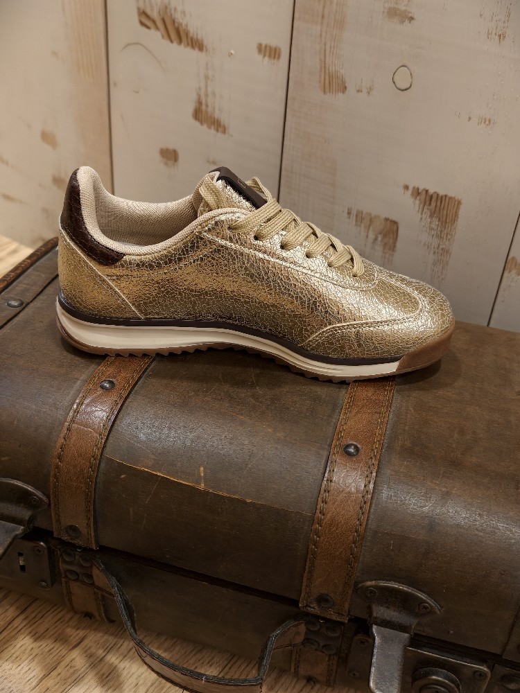 ZAPATILLA GOLD ZAPATILLA GOLD