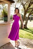 Ver productos de COLECCI�N INVITADA